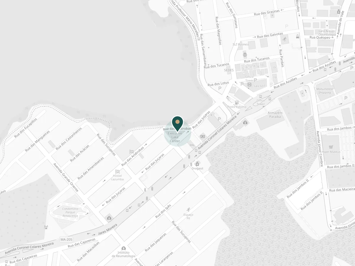 Map of the Jardim Renascença district, São Luís, with a pin on Clínica Rhinus at the Executive Lake Center, R. das Andirobas, 10